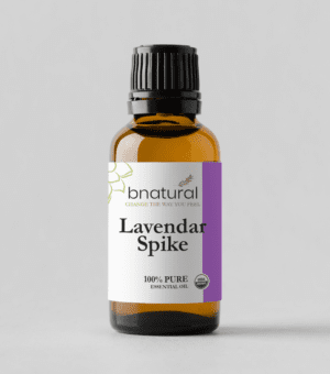 bnatural lavender spike essential oil