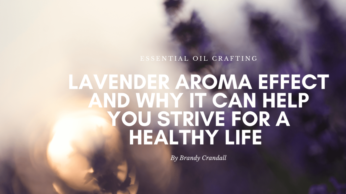 The Lavender Aroma Effect and why it can help you strive for a healthier life